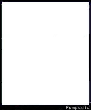 File:Kansas City Chiefs Jennifer Kleiboeker 1994 Y2.jpg