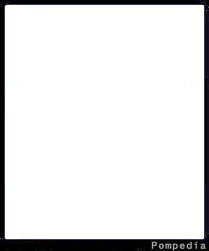 File:Kansas City Chiefs KC200132 2001 Yx.jpg