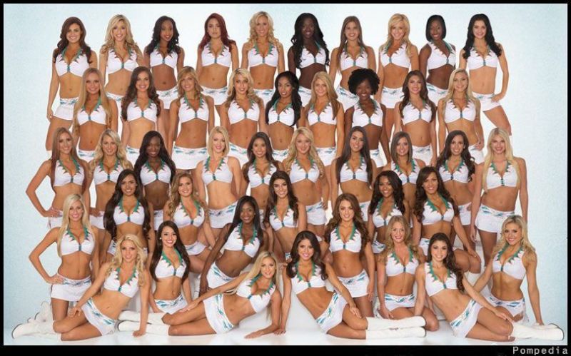 File:Miami Dolphins Squad 2014.jpg