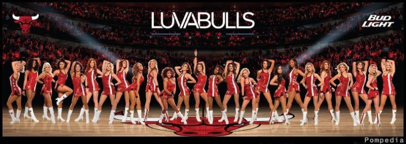 File:Chicago Bulls Squad 2015.jpg